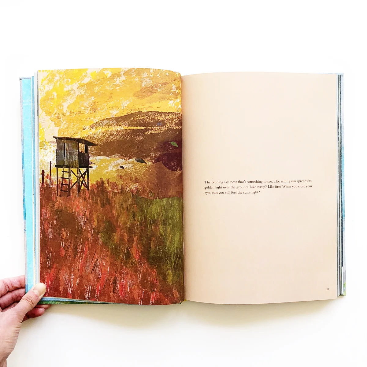 Look at the Weather — Avery & Augustine